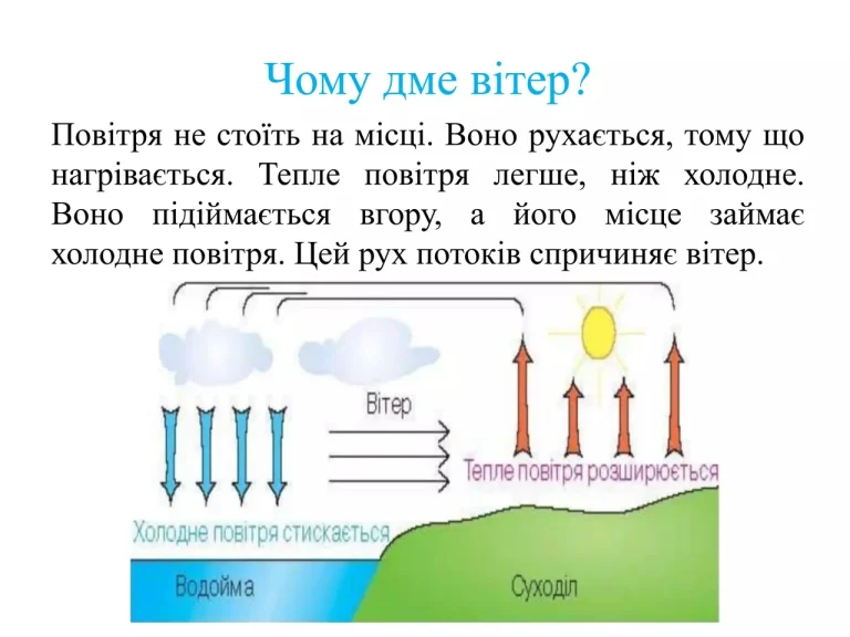 Чому дує вітер: механізм народження повітряних потоків