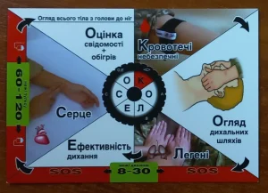 Де зимують комарі: таємниці виживання кровососів у холодну пору