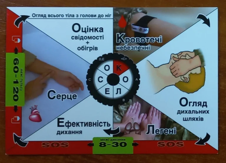 Де зимують комарі: таємниці виживання кровососів у холодну пору