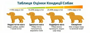 Як схуднути за тиждень: безпечний план на 1–3 кг