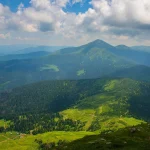 Яловичина це: повний гід українською про м’ясо, користь, відруби і вибір у 2026 році